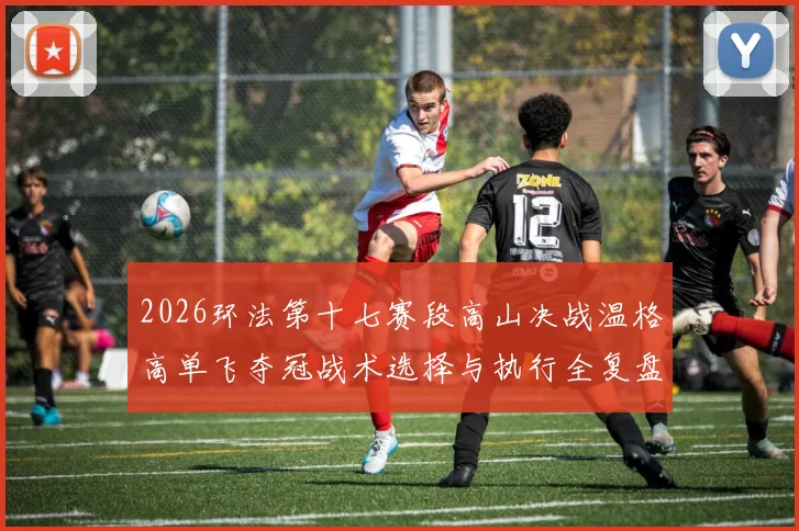2026环法第十七赛段高山决战温格高单飞夺冠战术选择与执行全复盘